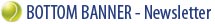 Bottom Banner Newsletter