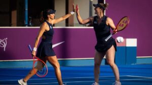 luisastefanidabrowskidoha265gd